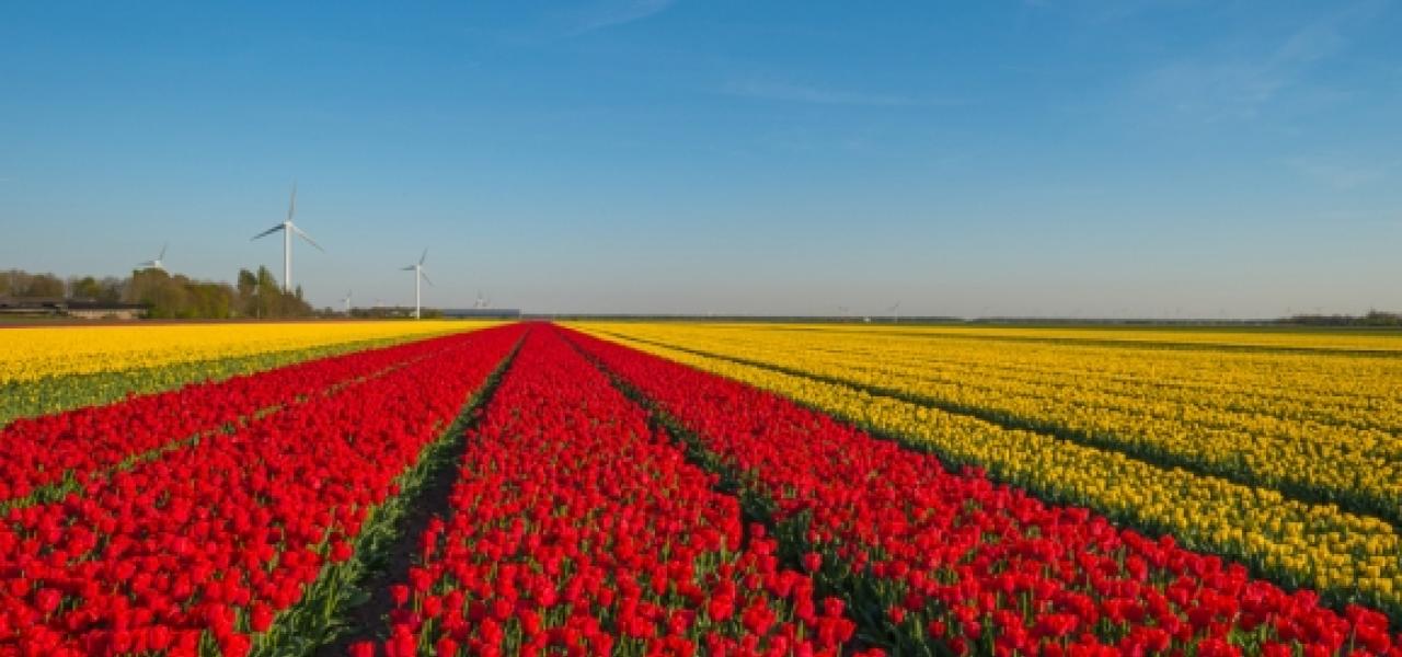 Werkbezoek aan anticipeerregio